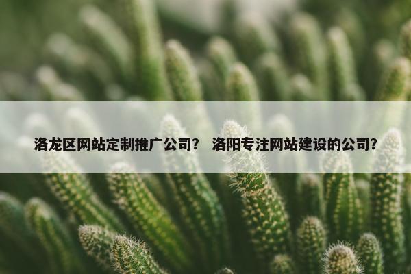 洛龙区网站定制推广公司？ 洛阳专注网站建设的公司？