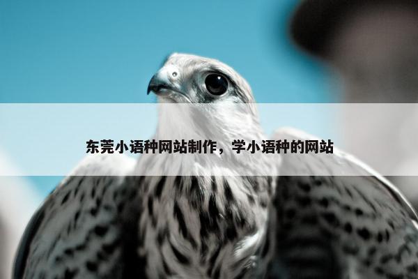 东莞小语种网站制作，学小语种的网站