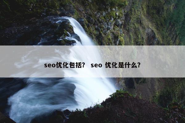 seo优化包括？ seo 优化是什么？