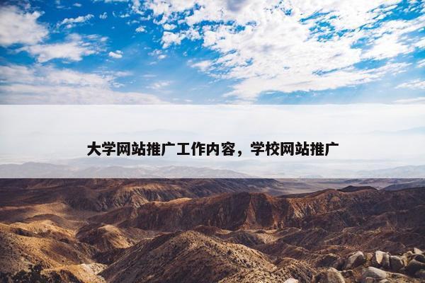 大学网站推广工作内容，学校网站推广