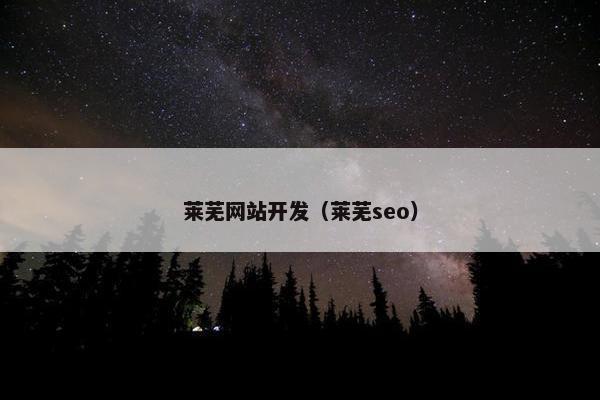 莱芜网站开发（莱芜seo）
