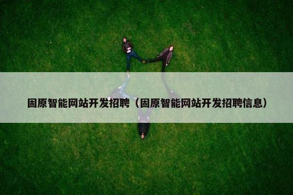 固原智能网站开发招聘（固原智能网站开发招聘信息）