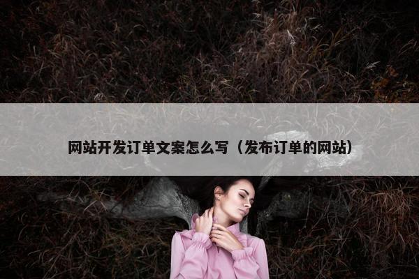 网站开发订单文案怎么写（发布订单的网站）