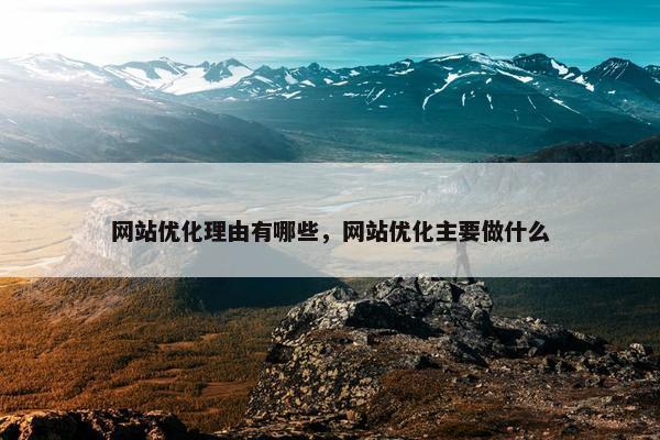 网站优化理由有哪些，网站优化主要做什么