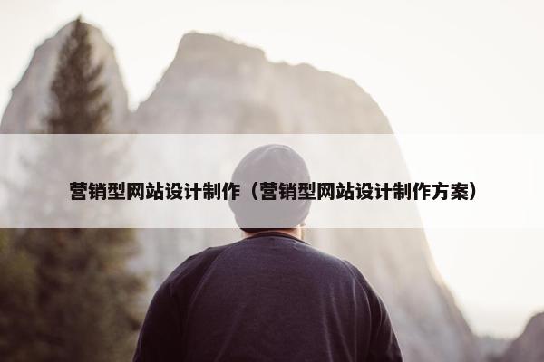 营销型网站设计制作（营销型网站设计制作方案）