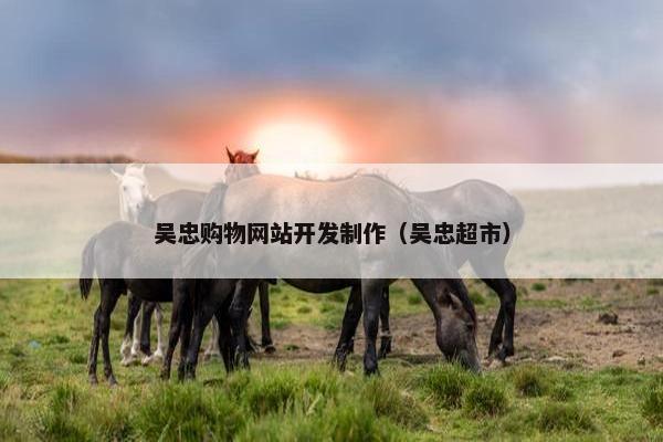 吴忠购物网站开发制作（吴忠超市）