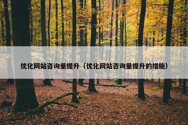 优化网站咨询量提升（优化网站咨询量提升的措施）