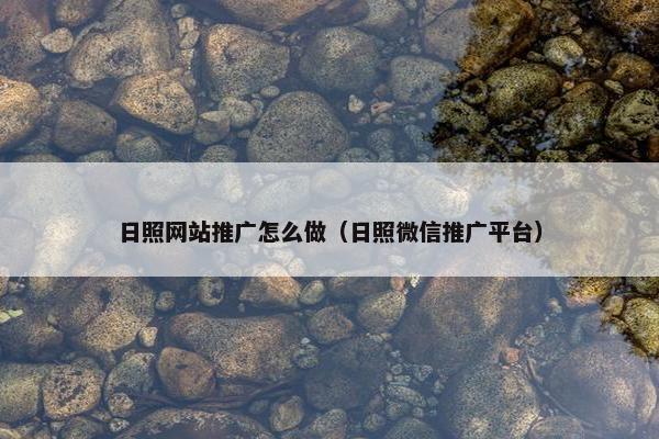 日照网站推广怎么做（日照微信推广平台）