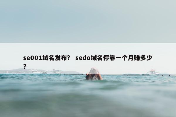 se001域名发布？ sedo域名停靠一个月赚多少？
