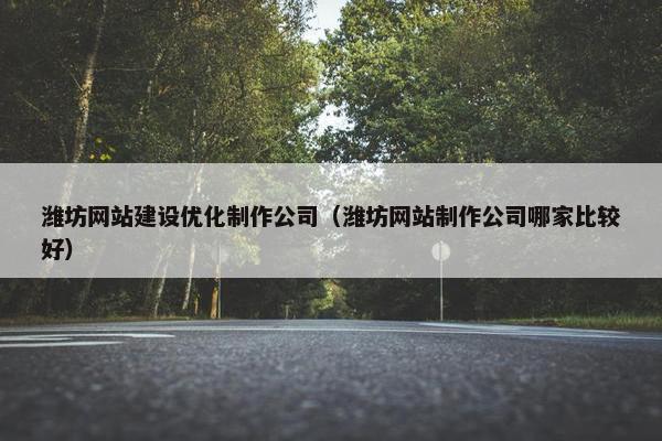 潍坊网站建设优化制作公司（潍坊网站制作公司哪家比较好）