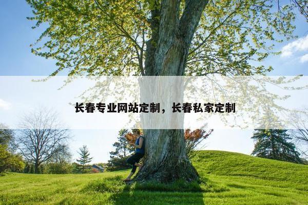 长春专业网站定制，长春私家定制
