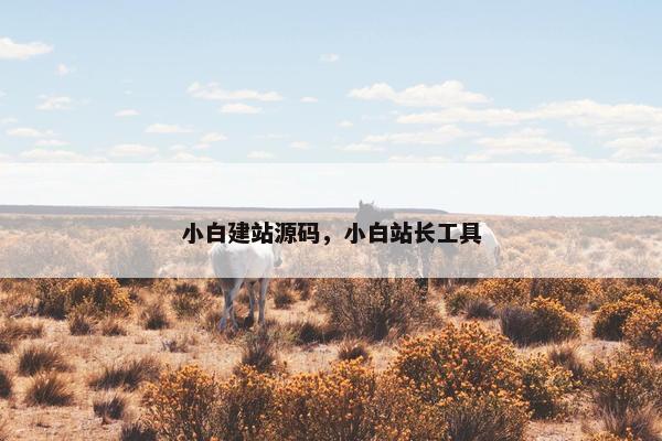 小白建站源码，小白站长工具