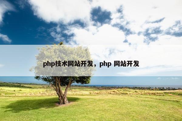 php技术网站开发，php 网站开发