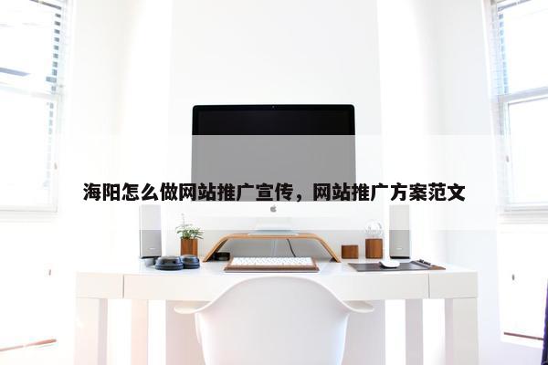 海阳怎么做网站推广宣传，网站推广方案范文