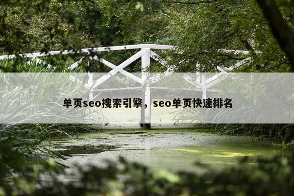 单页seo搜索引擎，seo单页快速排名