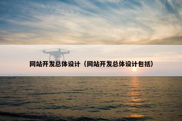 网站开发总体设计（网站开发总体设计包括）