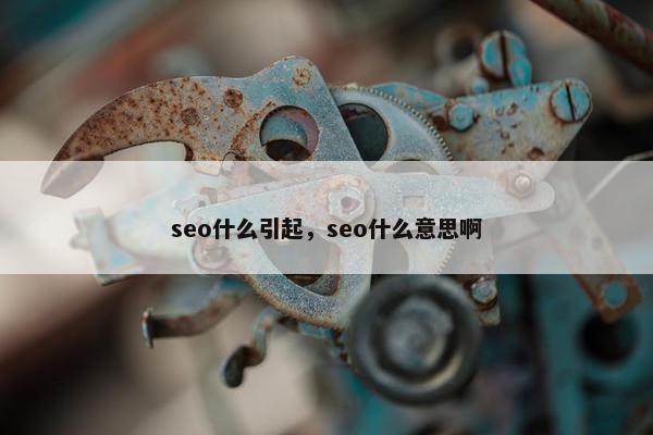seo什么引起，seo什么意思啊