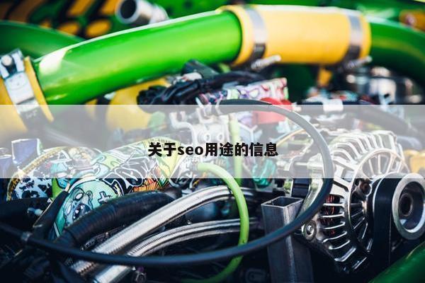 关于seo用途的信息