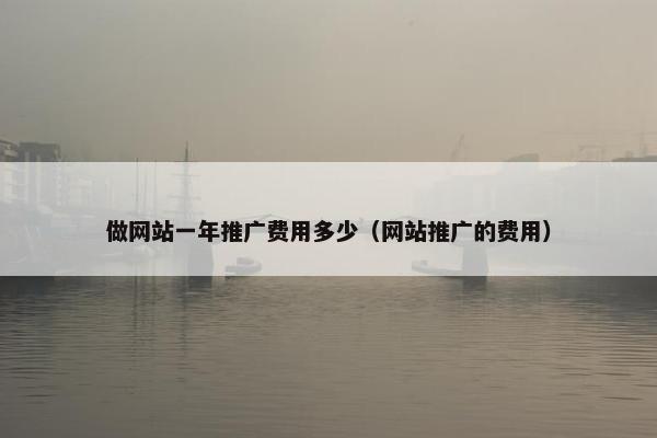 做网站一年推广费用多少（网站推广的费用）