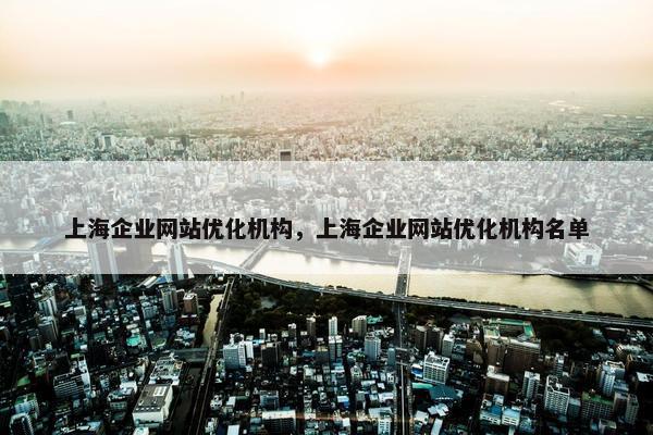 上海企业网站优化机构，上海企业网站优化机构名单