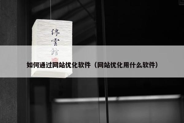 如何通过网站优化软件（网站优化用什么软件）