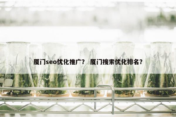 厦门seo优化推广？ 厦门搜索优化排名？