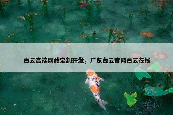 白云高端网站定制开发，广东白云官网白云在线