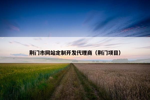荆门市网站定制开发代理商（荆门项目）