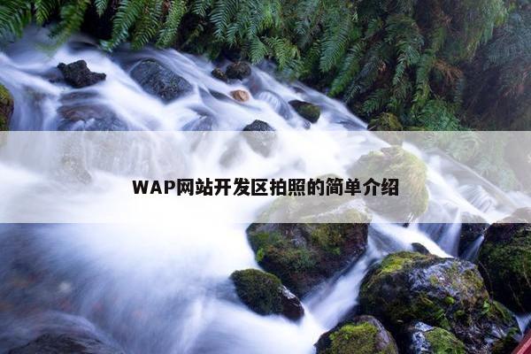 WAP网站开发区拍照的简单介绍