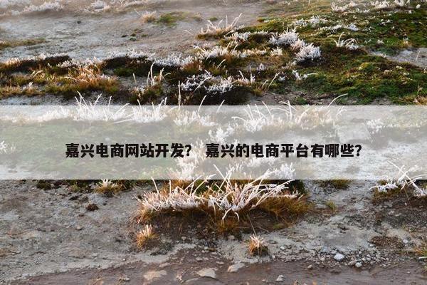 嘉兴电商网站开发？ 嘉兴的电商平台有哪些？