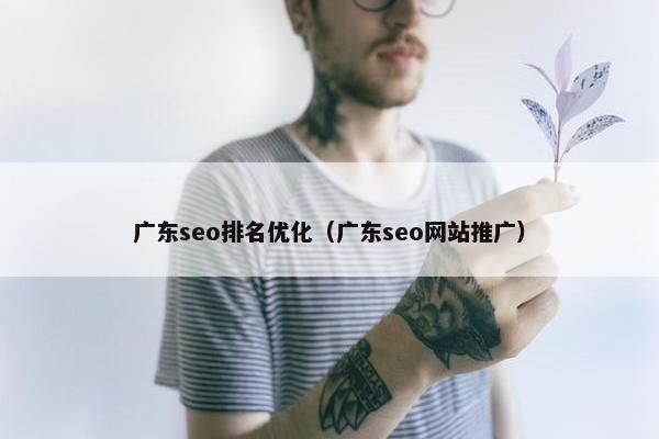 广东seo排名优化（广东seo网站推广）