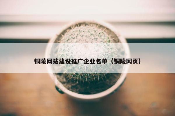 铜陵网站建设推广企业名单（铜陵网页）