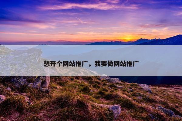 想开个网站推广，我要做网站推广