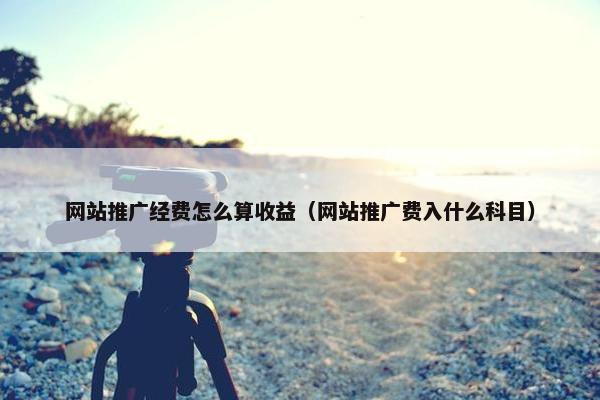 网站推广经费怎么算收益（网站推广费入什么科目）