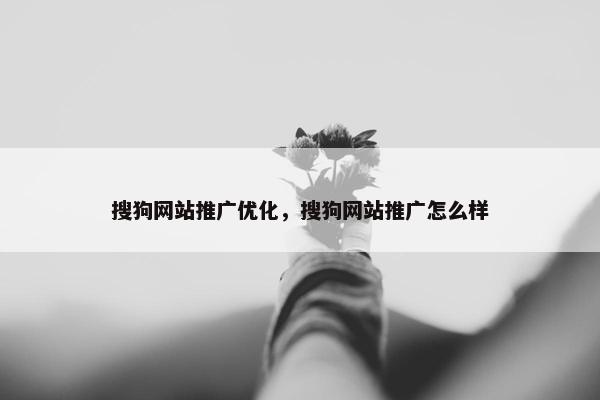 搜狗网站推广优化，搜狗网站推广怎么样
