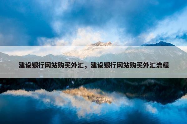 建设银行网站购买外汇，建设银行网站购买外汇流程