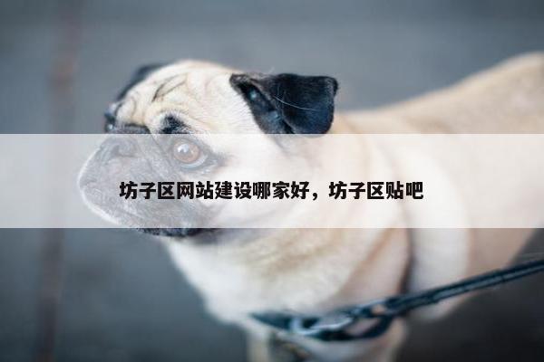 坊子区网站建设哪家好，坊子区贴吧