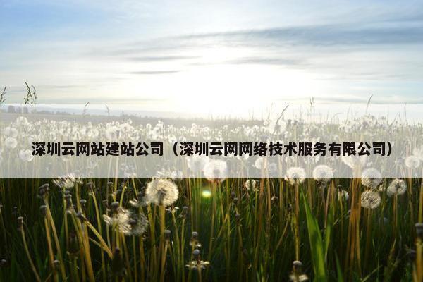 深圳云网站建站公司（深圳云网网络技术服务有限公司）