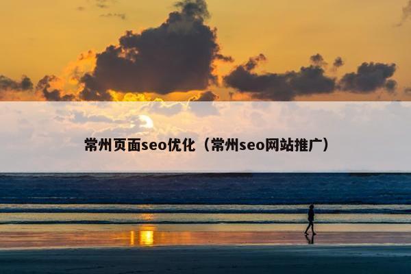常州页面seo优化（常州seo网站推广）