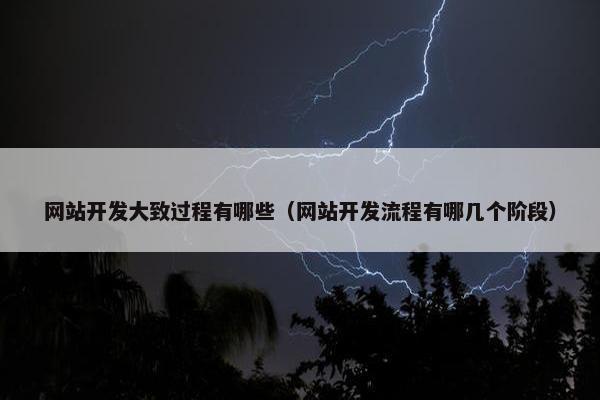 网站开发大致过程有哪些（网站开发流程有哪几个阶段）