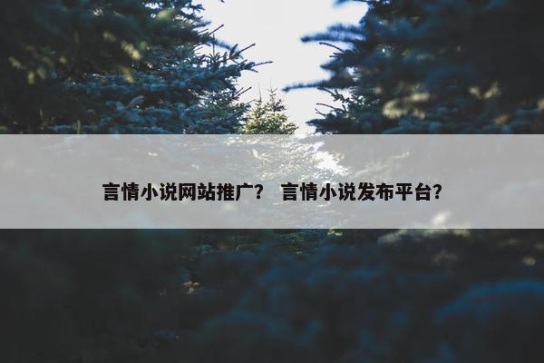 言情小说网站推广？ 言情小说发布平台？