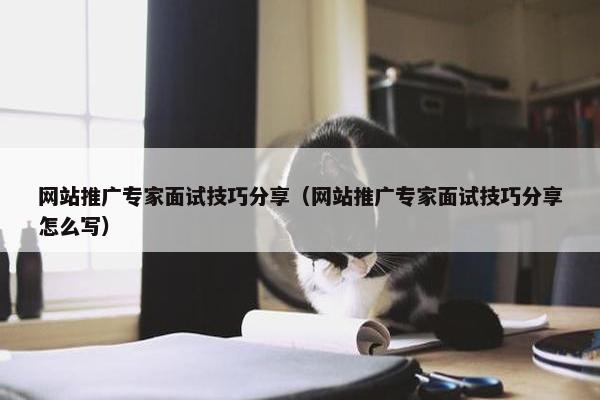 网站推广专家面试技巧分享（网站推广专家面试技巧分享怎么写）