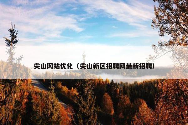 尖山网站优化（尖山新区招聘网最新招聘）