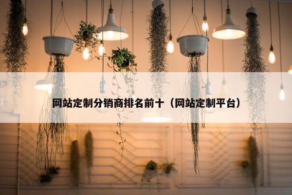 网站定制分销商排名前十（网站定制平台）