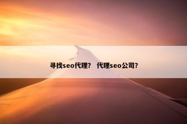 寻找seo代理？ 代理seo公司？