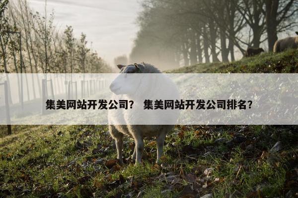 集美网站开发公司？ 集美网站开发公司排名？