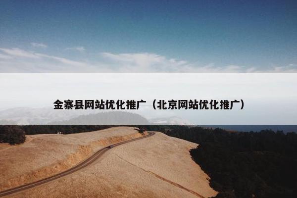 金寨县网站优化推广（北京网站优化推广）