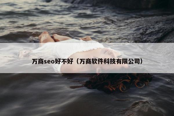 万商seo好不好（万商软件科技有限公司）