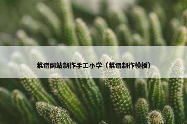 菜谱网站制作手工小学（菜谱制作模板）