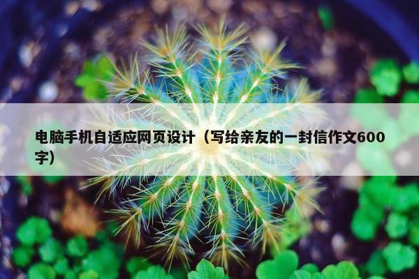 电脑手机自适应网页设计（写给亲友的一封信作文600字）